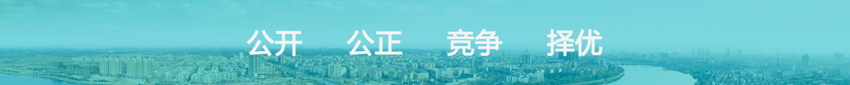 公开公正竞争择优